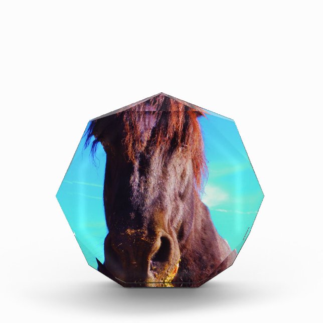 Purple Horse w/ Green Mouth Acrylic Award (Front)