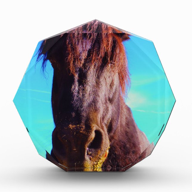 Purple Horse w/ Green Mouth Award (Front)