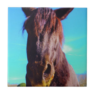 Purple Horse w/ Green Mouth Ceramic Tile