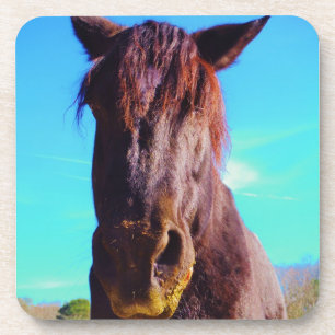 Purple Horse w/ Green Mouth Coaster