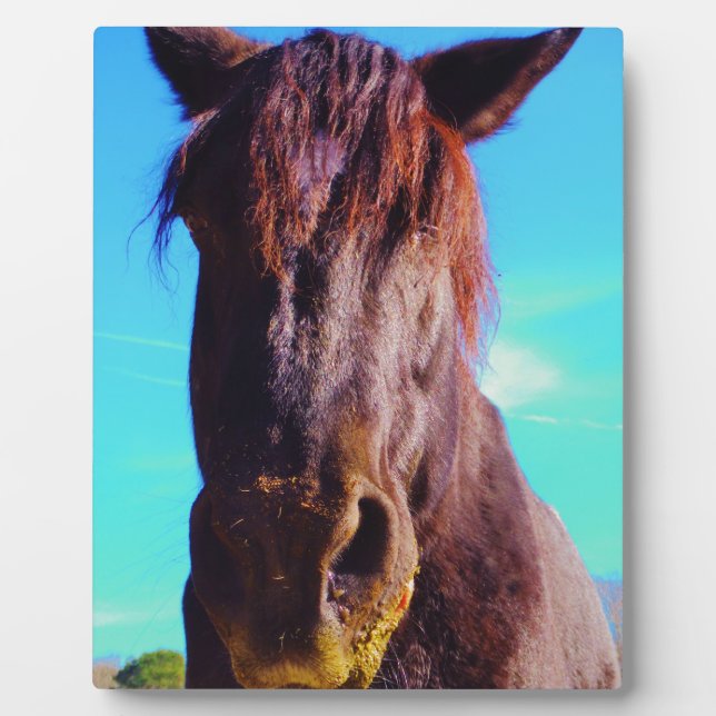 Purple Horse w/ Green Mouth Plaque (Front)