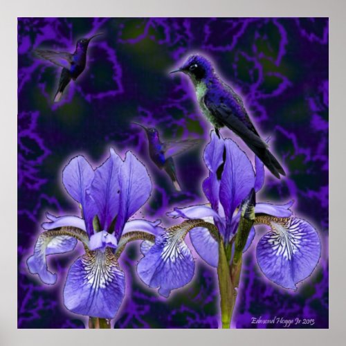 Purple Hummingbird and Irises Print