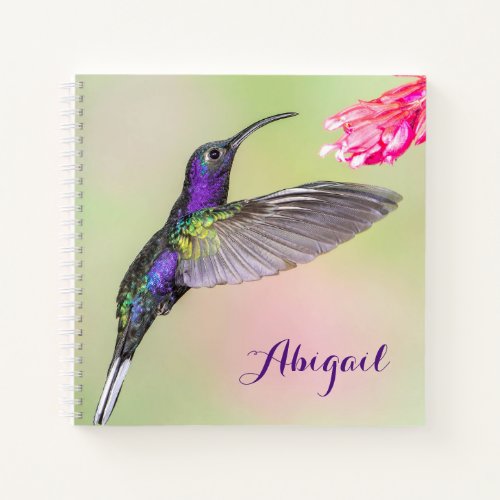 Purple Hummingbird Beautiful Personalized Notebook