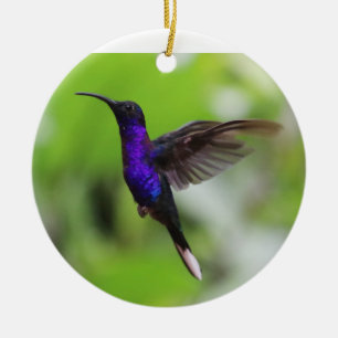 Purple hummingbird Christmas ornament