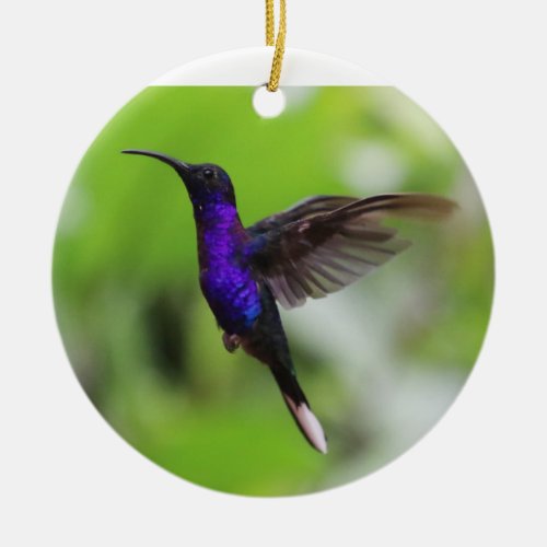 Purple hummingbird Christmas ornament