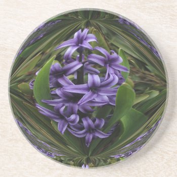 Purple Hyacinth Candy Drink Coaster by artinphotography at Zazzle