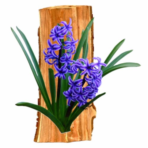 Purple Hyacinth Photo Sculpture