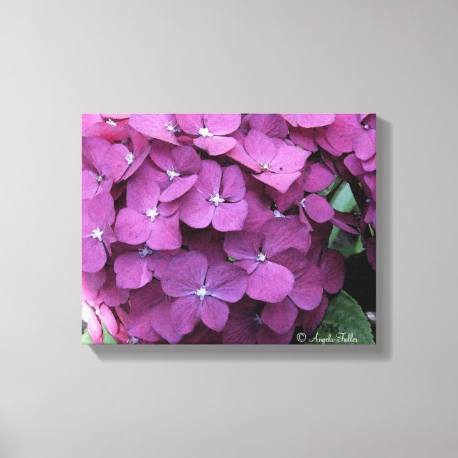 Purple Hydrangea Blooms Canvas Print (Front)