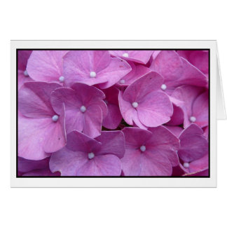 Purple Hydrangea Blossom Cards