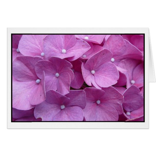 Purple Hydrangea Blossom Cards (Front Horizontal)