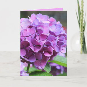 Purple Hydrangea Greeting Card
