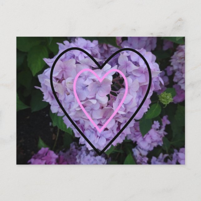 Purple Hydrangea in Hearts DIY Postcard (Front)