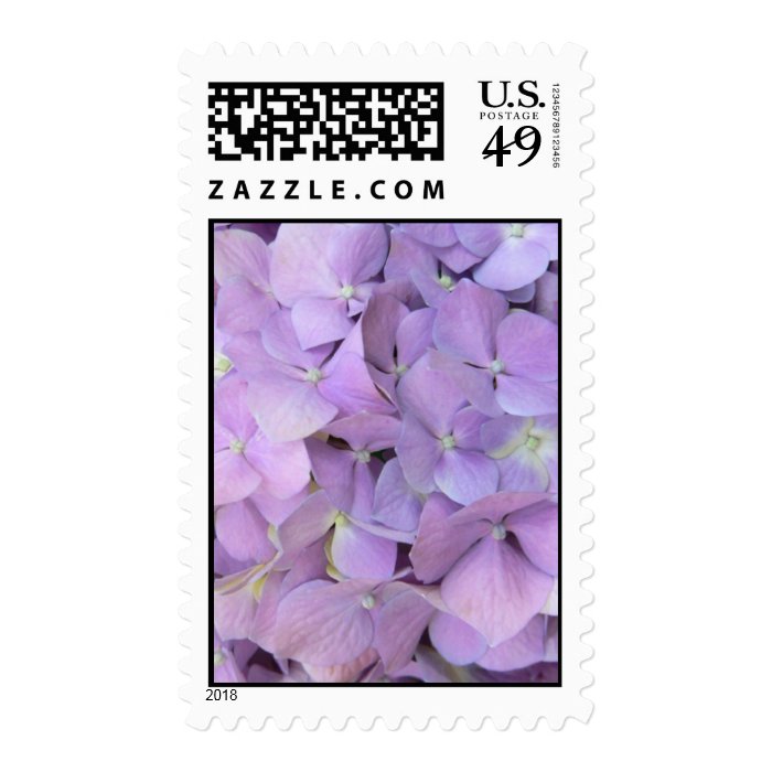 Purple Hydrangea Postage Stamps