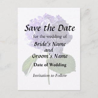Purple Hydrangea With Leaves Announcement Postcard