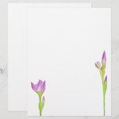 Purple Iris (Front/Back)