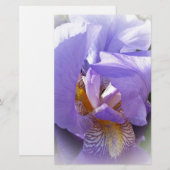 purple iris (Front/Back)