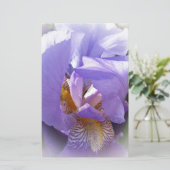 purple iris (Standing Front)