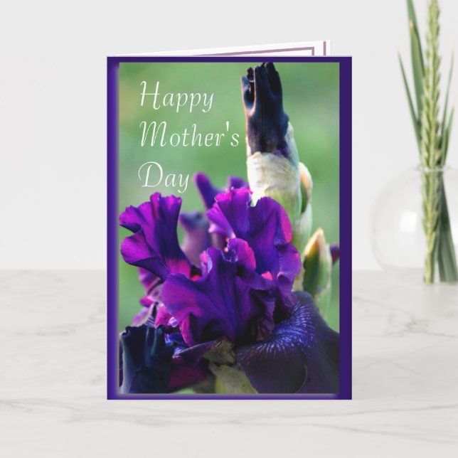Purple Iris 2914xc- customize any occasion Card (Front)