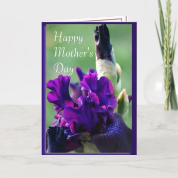 Purple Iris 2914xc- Customize Any Occasion Card by MakaraPhotos at Zazzle