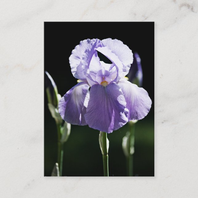 Purple Iris 8393 Mini Print Business Card (Front)