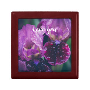 Purple iris after rain gift box