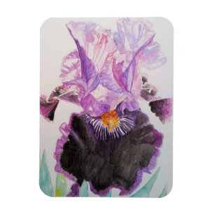 Purple Iris art Floral Flowers Watercolor Magnet