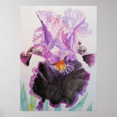 Purple Iris Art Floral Flowers Watercolor Poster