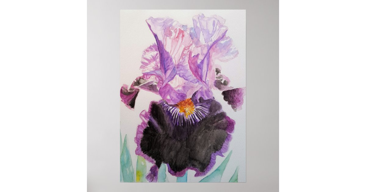 Purple Iris Art Floral Flowers Watercolor Poster | Zazzle