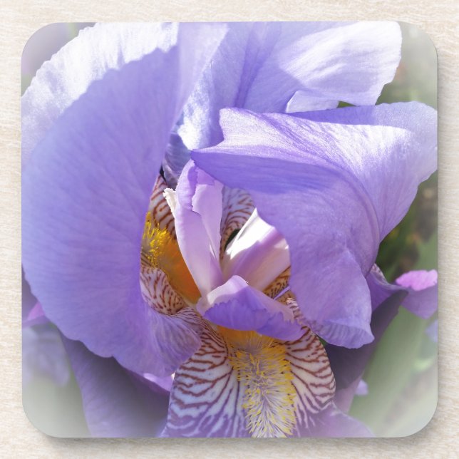 purple iris beverage coaster (Front)