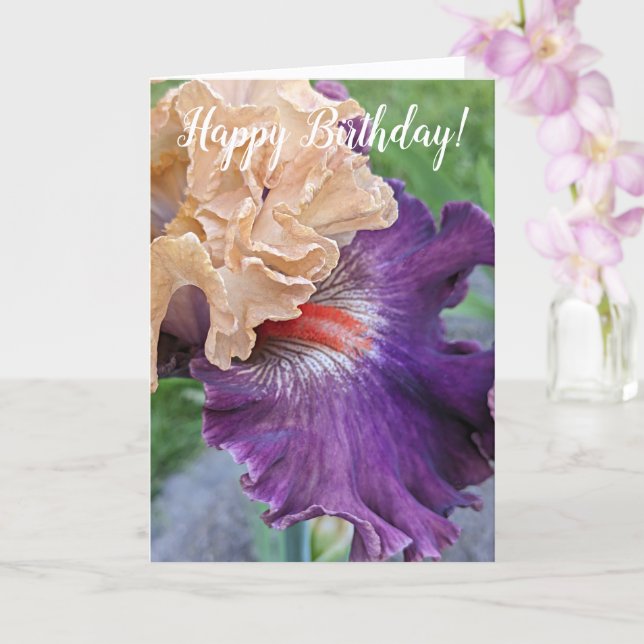 Purple Iris Bloom Floral Birthday Card (Orchid)
