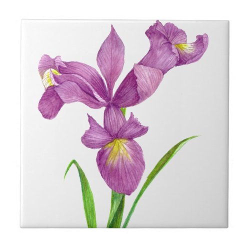 Purple Iris Botanical Floral Art Ceramic Tile
