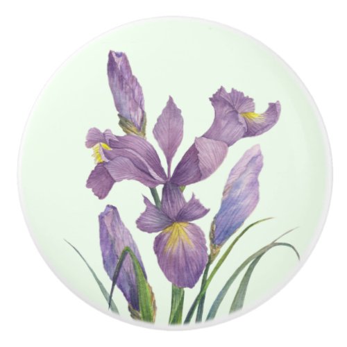 Purple Iris Botanical Floral Plain Duck Egg Blue Ceramic Knob