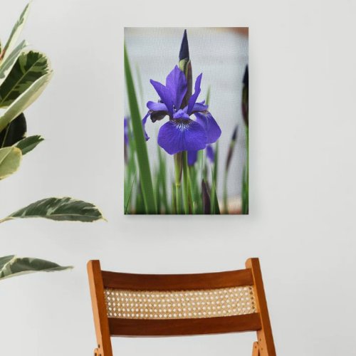 Purple Iris Botanical Photographic Floral Canvas Print