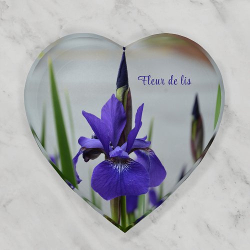 Purple Iris Botanical Photographic glass Paperweight