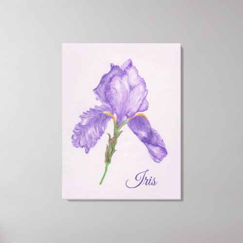 Purple Iris Botanical Style Colored Pencil Art Canvas Print