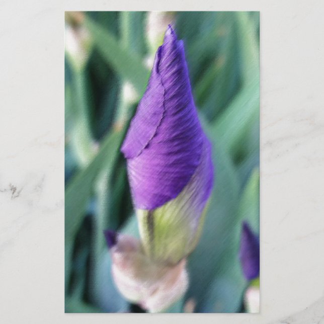 purple iris bud stationery (Front)
