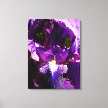 Purple Iris Canvas Print by Amitees at Zazzle