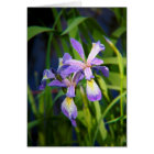 Purple Iris Card
