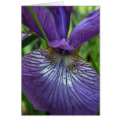 Purple Iris Card (Front)