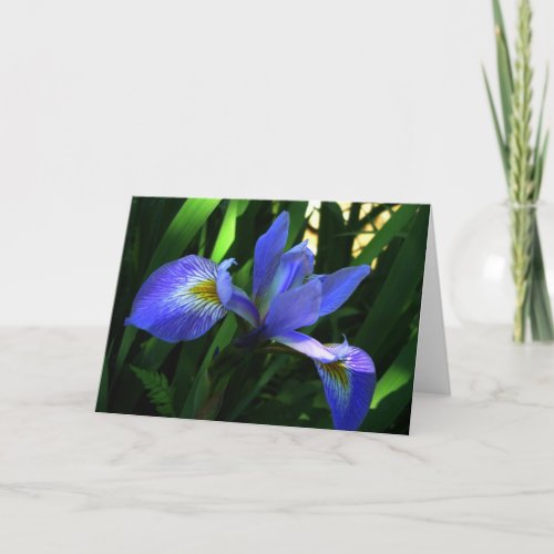 Purple Iris Card
