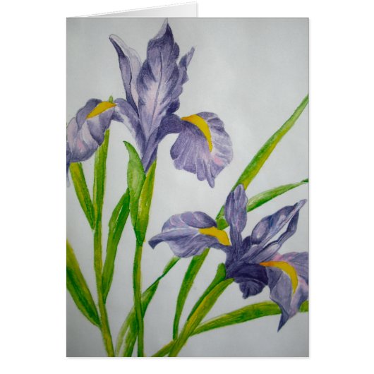 purple iris cards (Front)