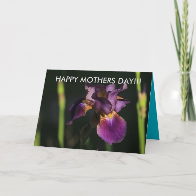 Purple Iris Closeup Mothers Day Card (Front)