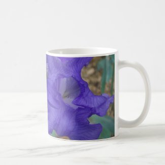 Purple Iris Cup