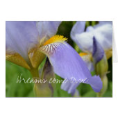 Purple Iris-Dreams come true (Front Horizontal)