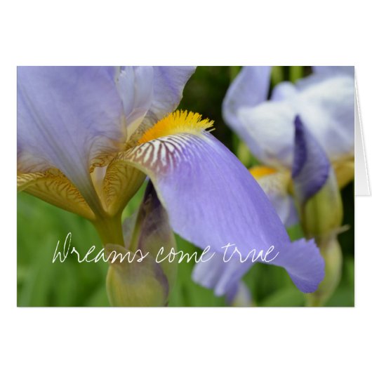 Purple Iris-Dreams come true Cards (Front Horizontal)