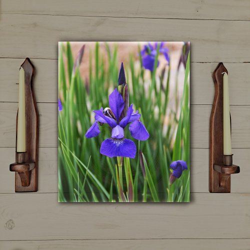 Purple Iris Floral Botanical Photographic Canvas Print