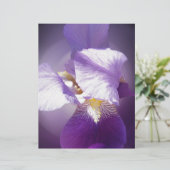 purple iris flower (Standing Front)