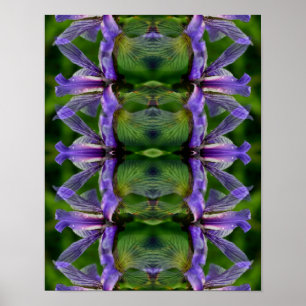 Purple Iris Flower Abstract Poster