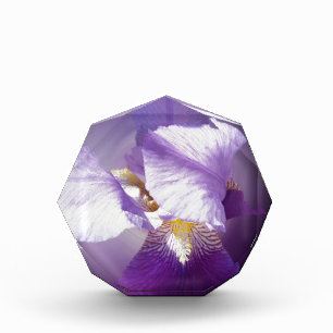 purple iris flower award