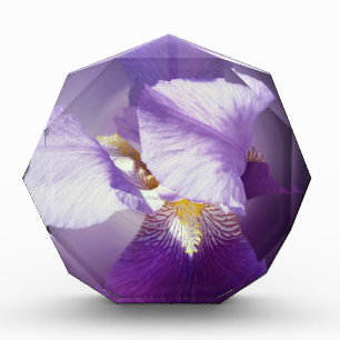 purple iris flower award